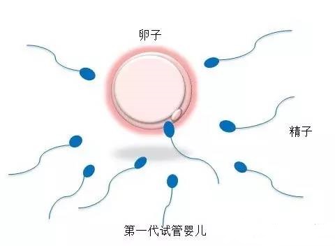 关于明远生殖医学中心